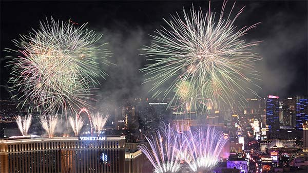 सरकार ने दोनों अधिकारियों को बर्खास्त कर दिया