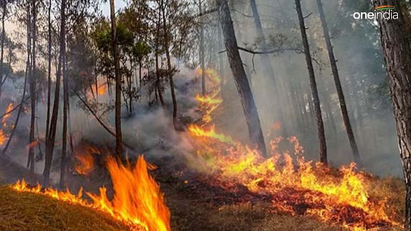 Uttarakhand Forest Fire 600 incidents registered measures taken from ground to sky 10 biggest updates so far