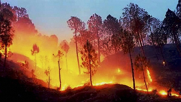 Uttarakhand Forest fire