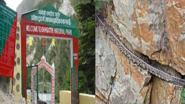 Gangotri national park Trekking hobby tourists coming adventure beautiful valleys nature