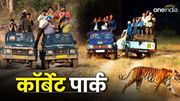 Jim Corbett National Park Get ready for jungle safari adventure when can you get tickets book like this