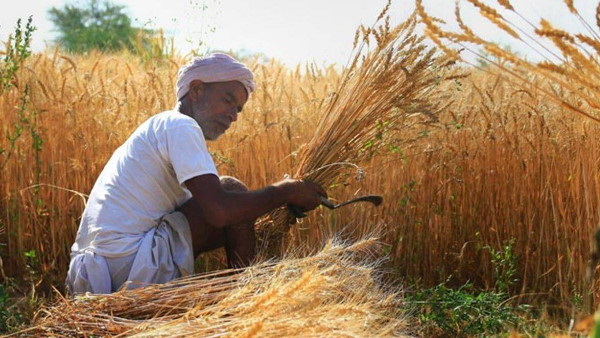 kisan