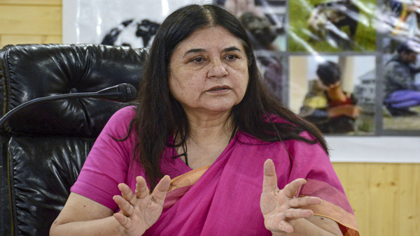 Maneka Gandhi over Varun ticket Maneka Gandhi over Varun ticket