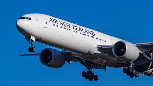 Passenger urinates in cup