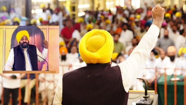 punjab news