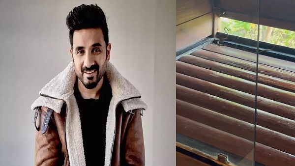 vir das
