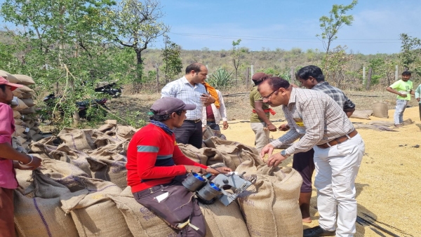 SDM is inspecting wheat-gram procurement centers on weather rain and DM instructions