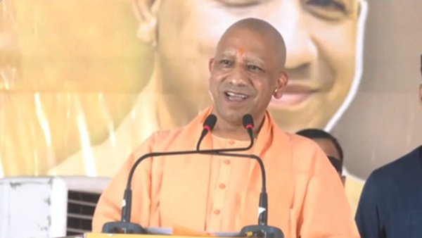 yogi