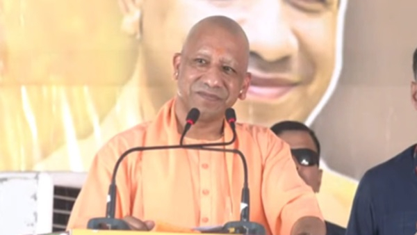 yogi