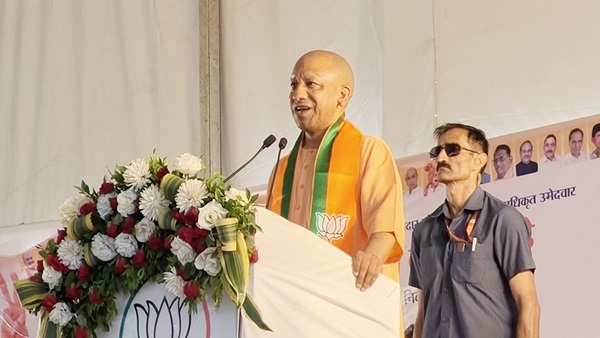 yogi yogi