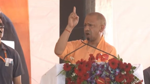 yogi