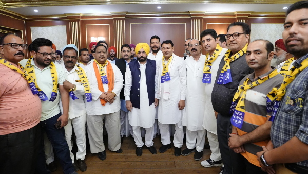 punjab aap