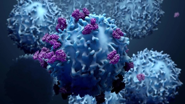 Anti-Microbial Medicine effects Anti-Microbial Medicine effects