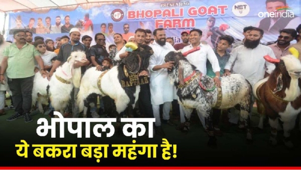 Bhopali goat sold in Toronto for Rs 7 5 lakh