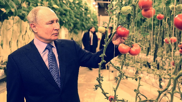 ukraine war news