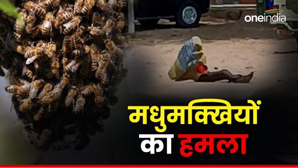 Chhindwara Hospital News