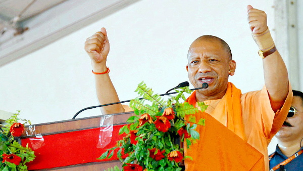 cm yogi
