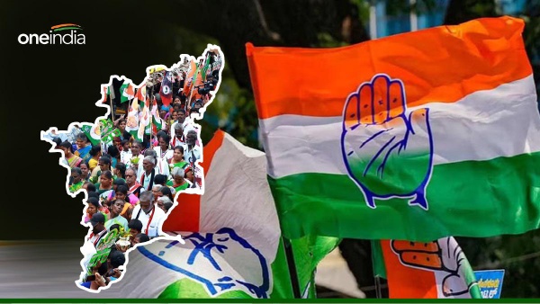 congress politics