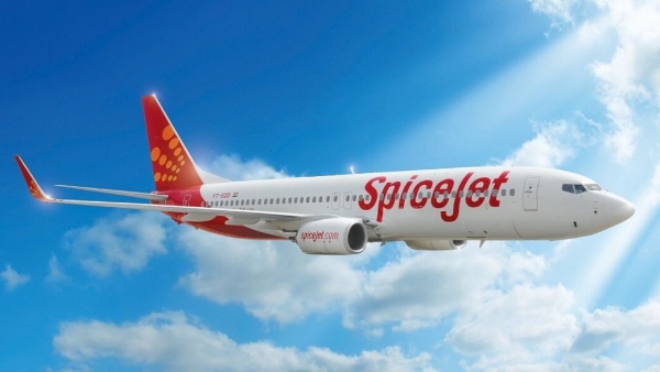 SpiceJet flight bird hit