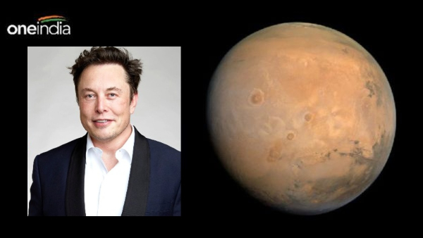 Elon Musk Mars Elon Musk Mars