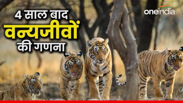 after-4-years-wildlife-census-is-being-done-in-rajasthan-through-water-hole-method