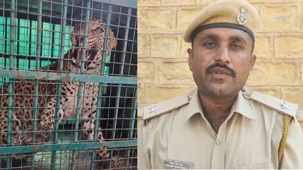 pakistani-hunter-panther-imprisoned-in-indian-cage-by-forest-department-in-jaisalmer pakistani-hunter-panther-imprisoned-in-indian-cage-by-forest-department-in-jaisalmer