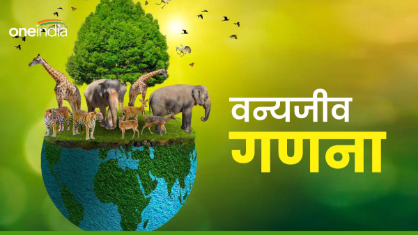 wildlife-census-being-done-in-the-state-today-counting-using-water-hole-method-on-scaffolding