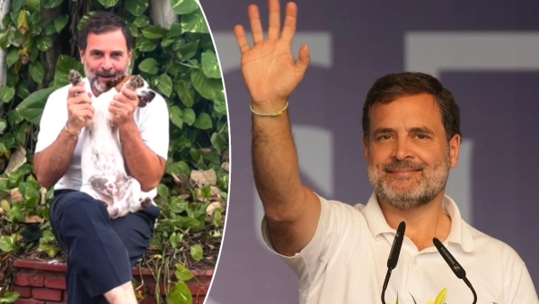 Rahul Gandhi Pet Rahul Gandhi Pet