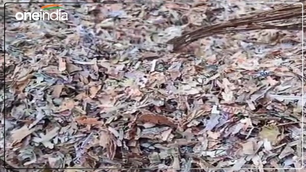 mutilated-notes-of-100-200-and-500-rupees-found-on-unnao-hardoi-road