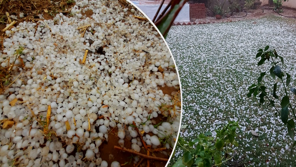 Rajasthan Weather Update IMD Yellow