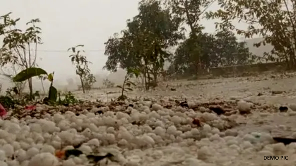 Rajasthan Weather Update IMD Yellow