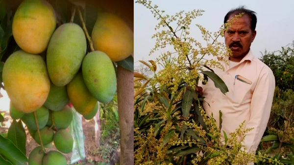 farmer Shri Kishan Suman