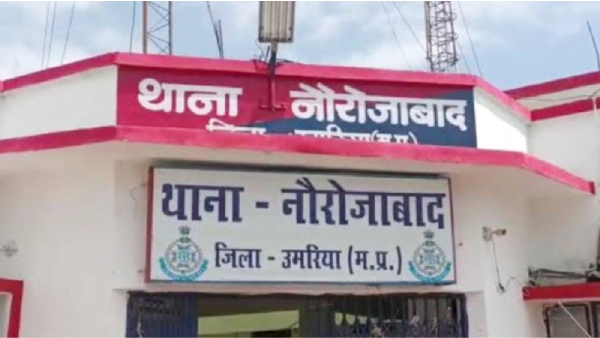 Son-in-law murdered mother-in-law in Umaria