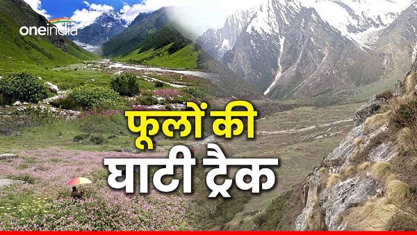 Valley of Flowers Track visit the world of flowers from June 1 know how much fee how do tracking