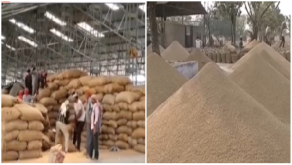 Good news for farmers government extended the period for purchasing wheat on MSP by 11 days Good news for farmers government extended the period for purchasing wheat on MSP by 11 days