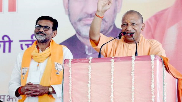 cm yogi cm yogi