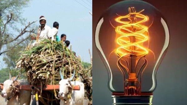 Maharashtra Solar Project