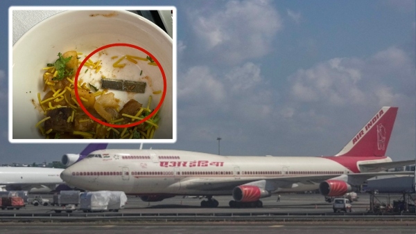Air India Flight Meal