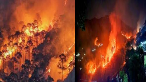 forest fire in Almora Four PRD jawans fire watchers died tragically due to CM Dhami expressed grief