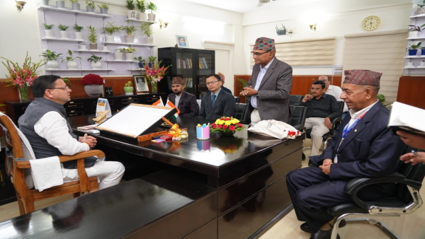 cm dhami