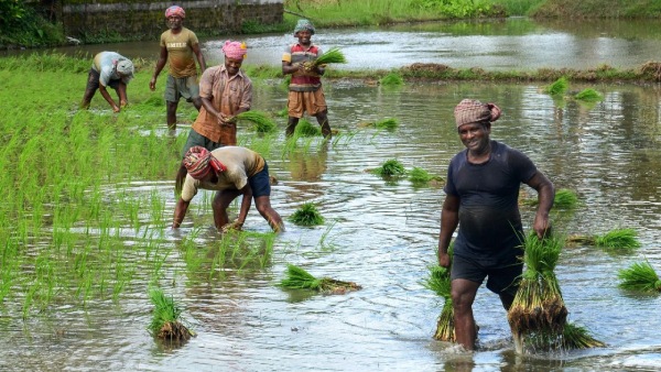 Monsoon in Bihar-UP