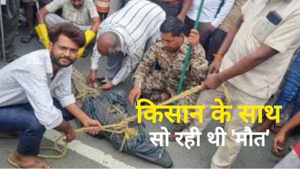 Crocodile under the farmer s bed