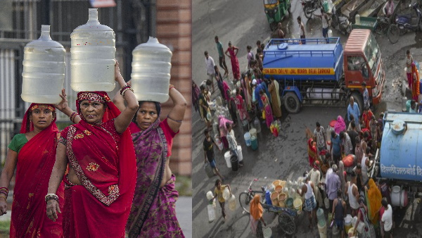 delhi