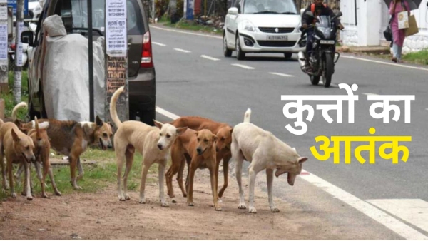 Dogs killed a girl child in Khargone