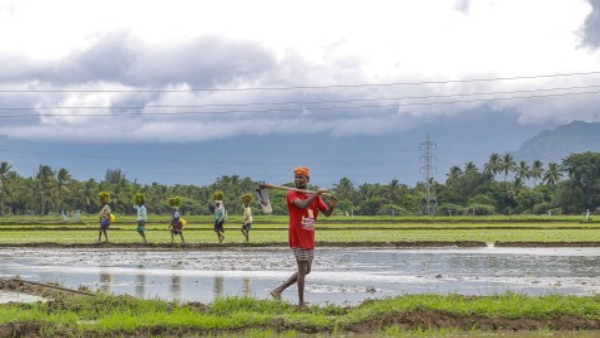 crop loans