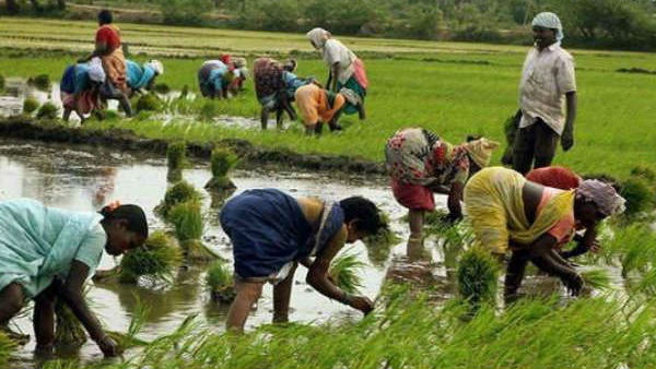 Nanaji Deshmukh Krishi Sanjeevani Project