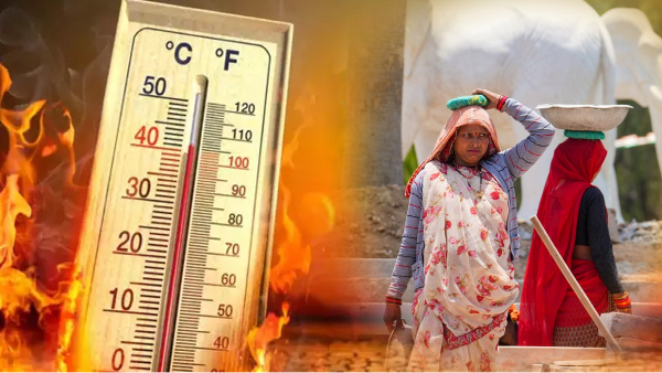 Heatwave Death Cases 2024
