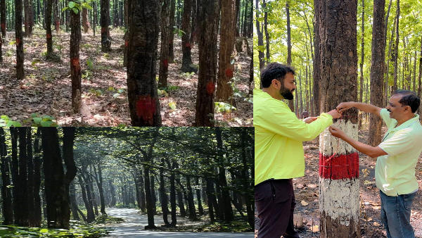 Dehradun news 2 thousand green trees not cut water Khalanga Reserve saved due massive opposition