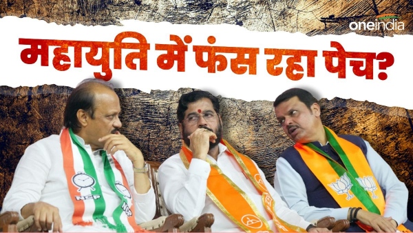 mahayuti politics