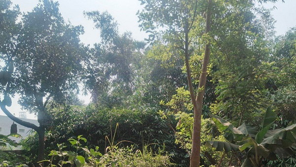 Monsoon ko lekar mausam vibhag ka update Bihar weather news update today in hindi